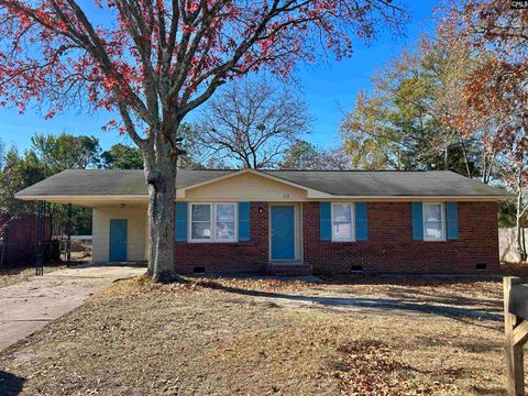 Photo of 113 Black Oak Road, Gaston, SC 29053 (MLS # 623354)