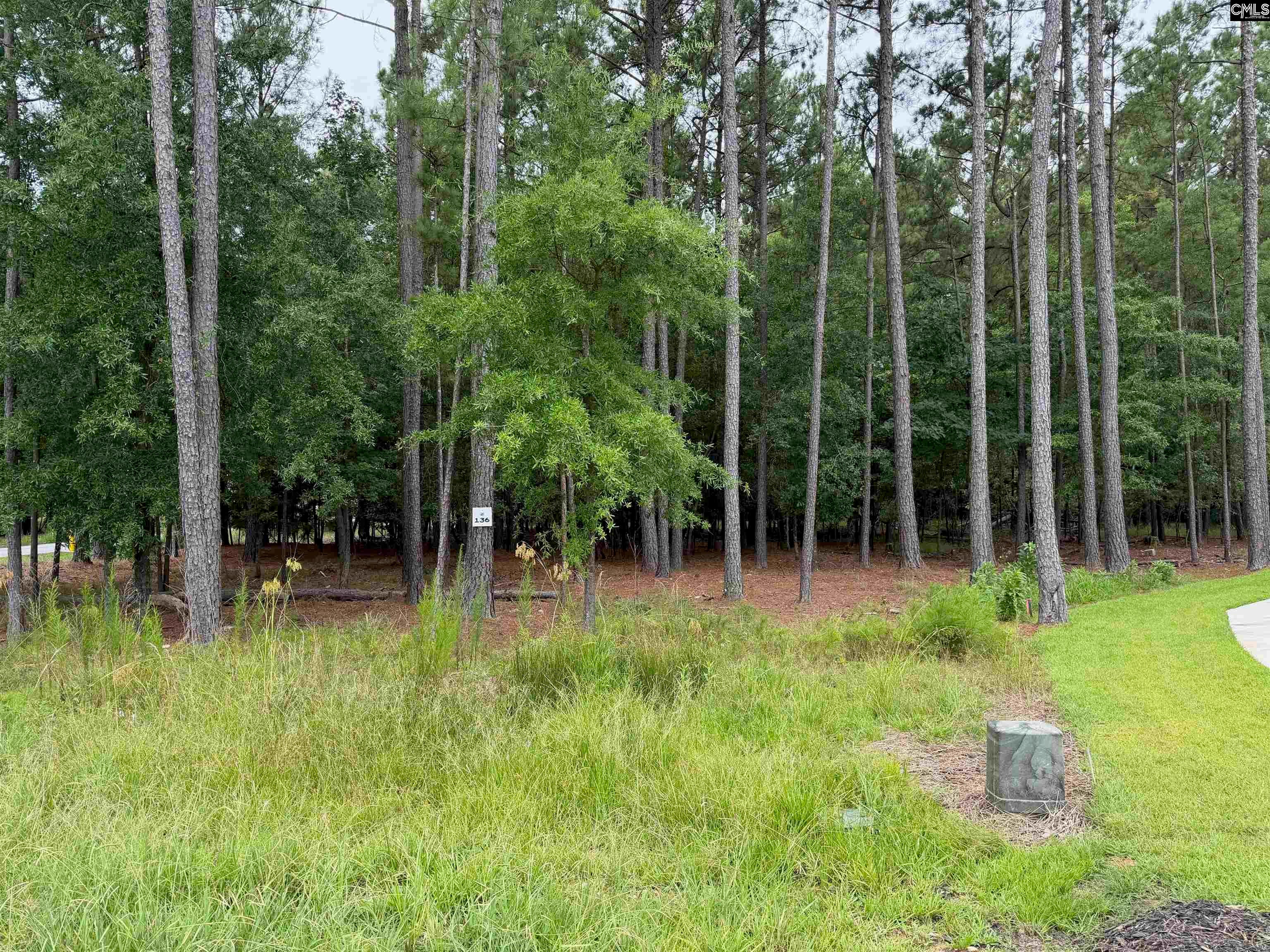 Lot 136 Stewart Landing Drive - Photo 4