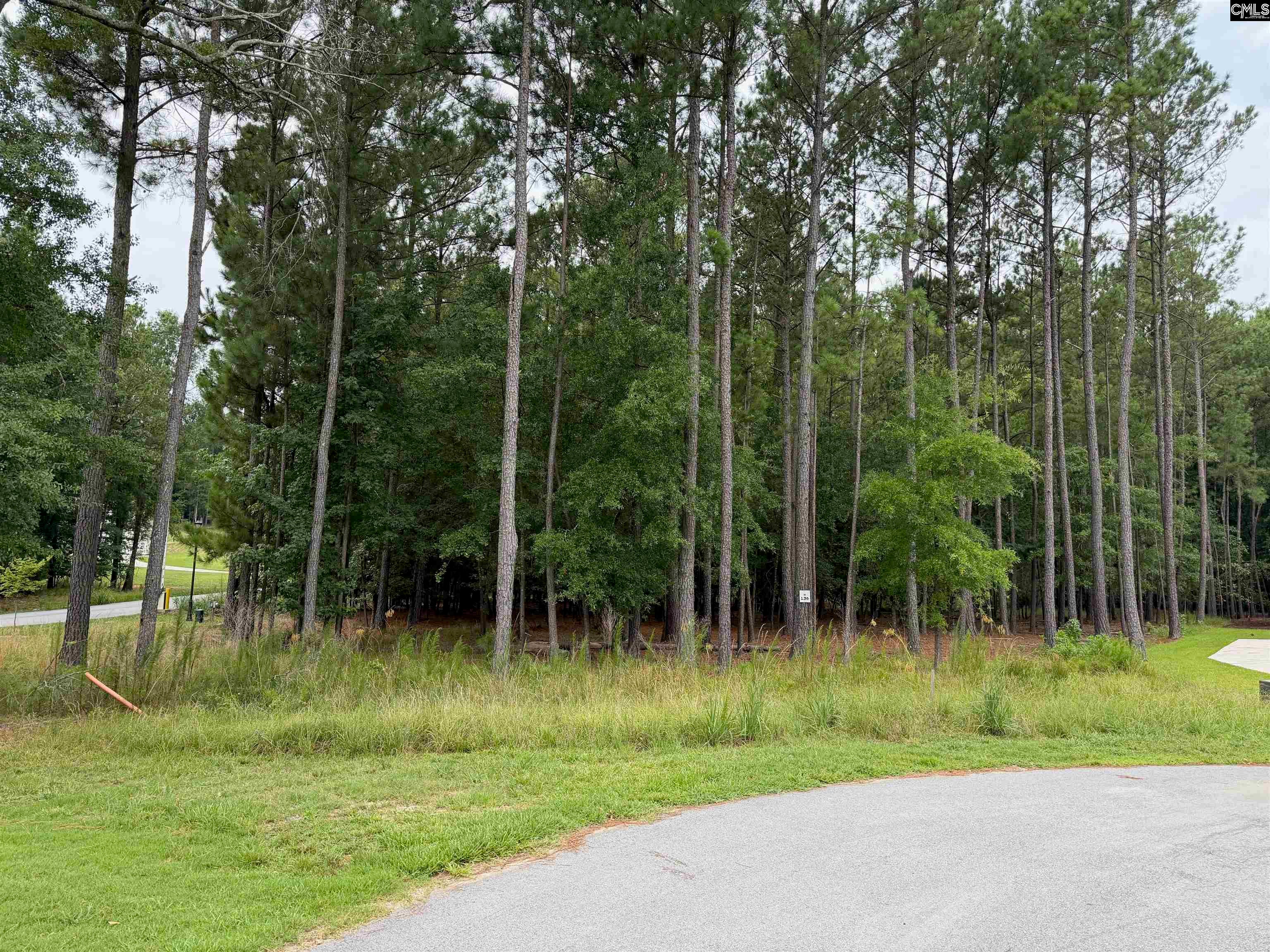 Lot 136 Stewart Landing Drive, Prosperity, SC, 29167