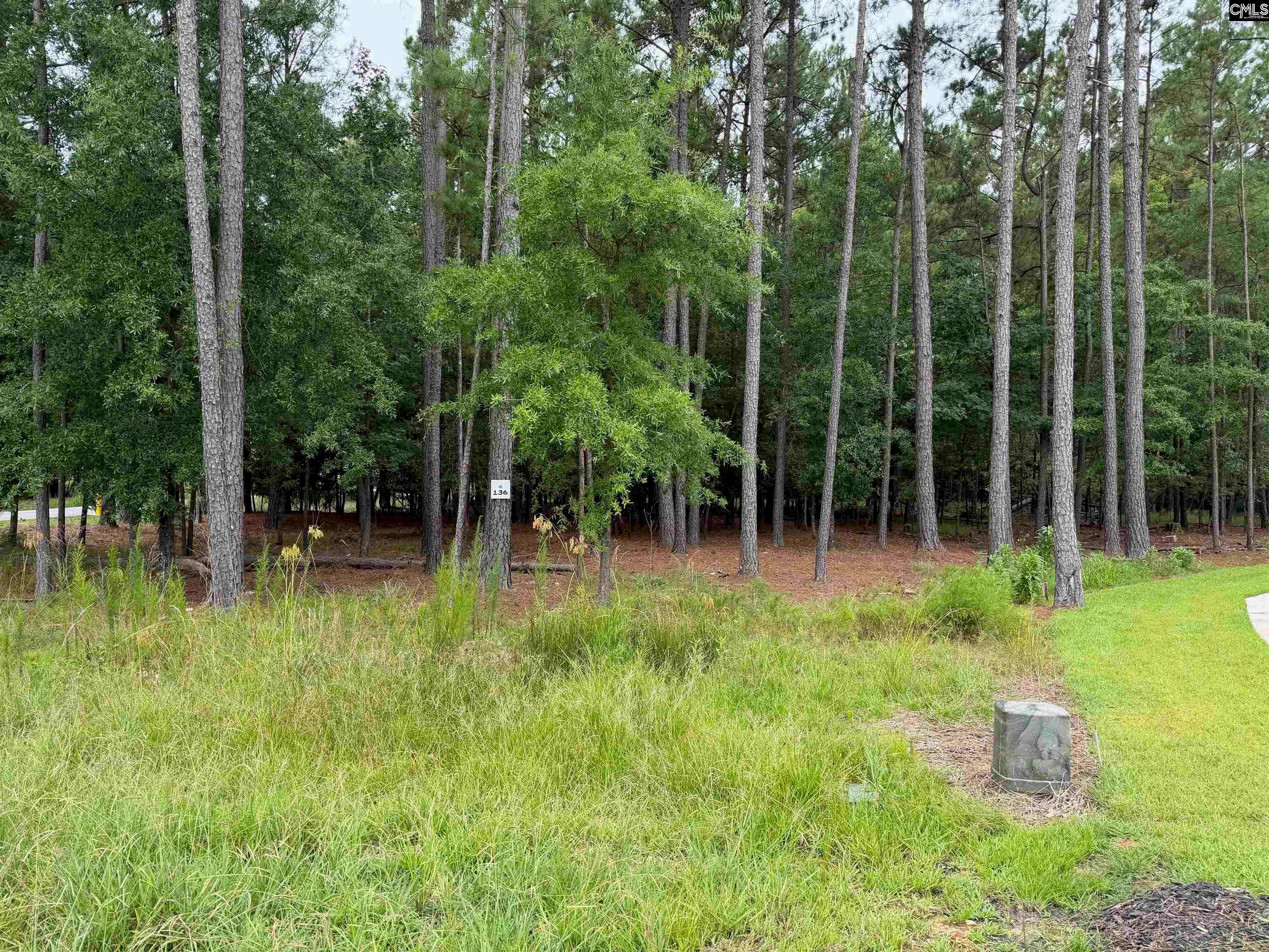 Lot 136 Stewart Landing Drive - Photo 3