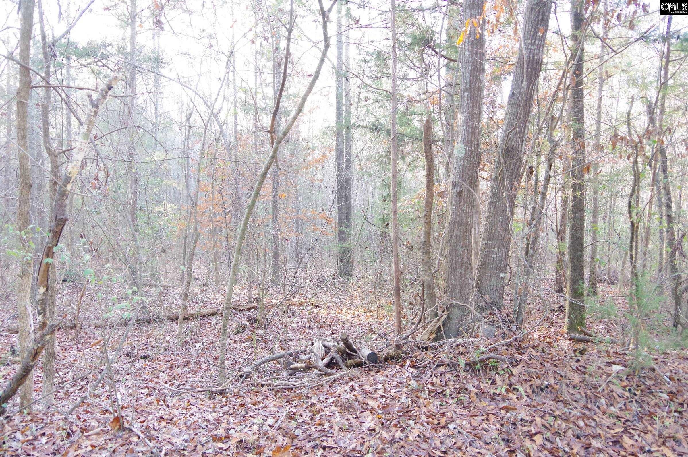 133 Archway Court, Little Mountain, SC, 29075