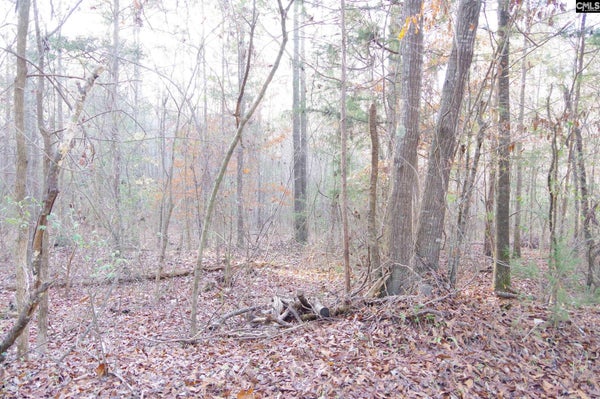 133 ARCHWAY CT, LITTLE MOUNTAIN, SC 29075 - Image bd6afa48bcf781b48314c26546fd7dd6/2739455075