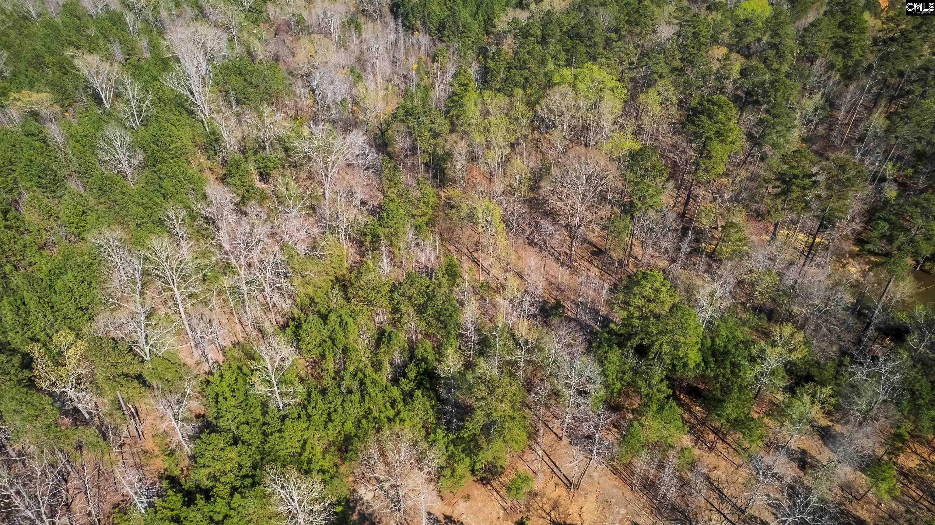 359 Holly Point Road - Photo 3