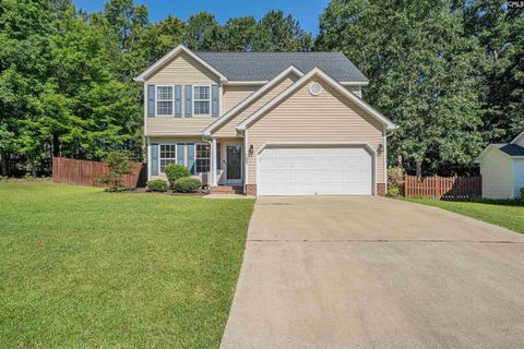 Photo of 107 Elm Creek Drive, Chapin, SC 29036 (MLS # 635746)