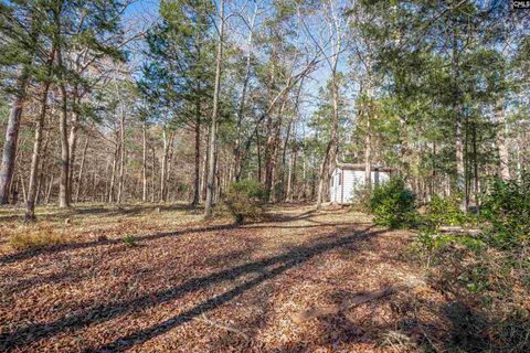 A home in Irmo