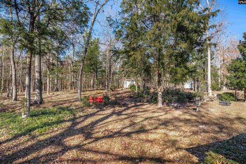 A home in Irmo