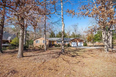 A home in Irmo