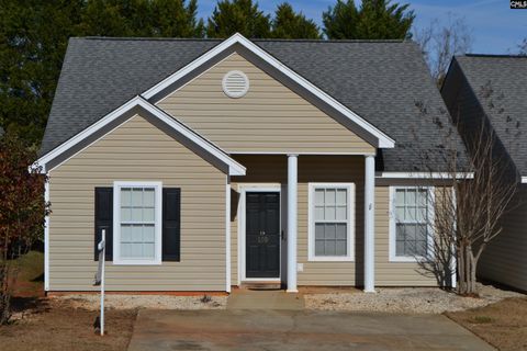 A home in Chapin