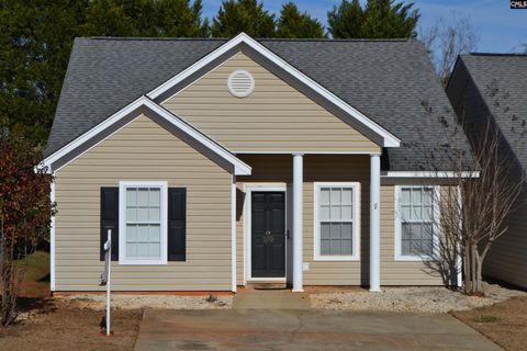 A home in Chapin