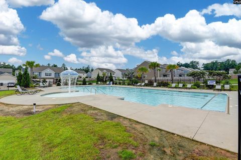 A home in Chapin