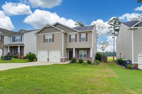 A home in Chapin