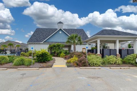 A home in Chapin