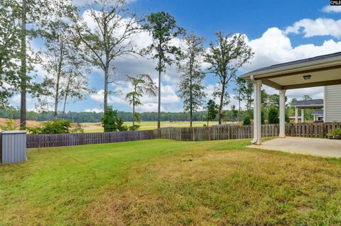 A home in Chapin