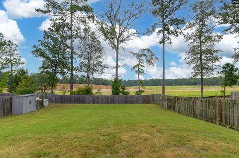 A home in Chapin