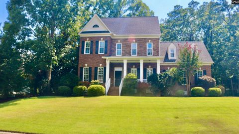 Photo of 319 Sienna Drive, Chapin, SC 29036 (MLS # 625210)