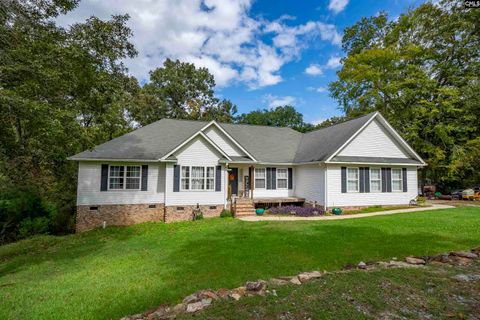 Photo of 501 Canasta Drive, Gilbert, SC 29054 (MLS # 619129)