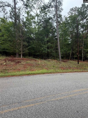 NEWBERRY SHORES DR, PROSPERITY, SC 29127 - Image bec8662007c17d465972dc8f4e1dd5f8/3562451786