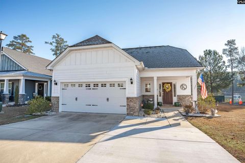 Photo of 348 Amalfi Drive, Chapin, SC 29036 (MLS # 624936)