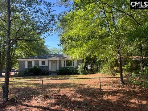 Photo of 1146 Castle Pinckney Road, Columbia, SC 29223 (MLS # 633318)