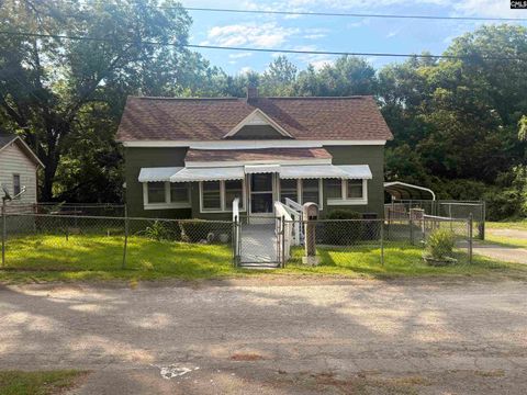Photo of 1216 Player Street, Newberry, SC 29108 (MLS # 637655)