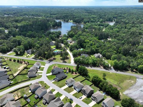 A home in Chapin