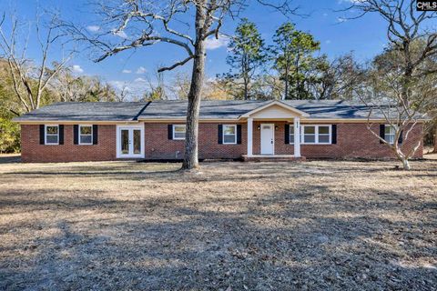 Photo of 673 Clay Hill Road, Pelion, SC 29123 (MLS # 623419)