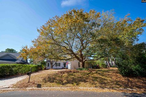 Photo of 58 Mallet Hill Court, Columbia, SC 29223 (MLS # 628836)