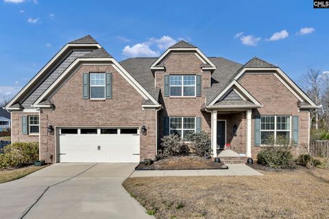 Photo of 125 Chapin Creek Court, Chapin, SC 29036 (MLS # 629641)