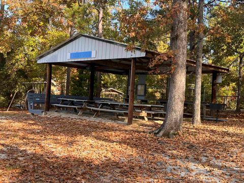 A home in Chapin