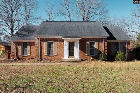 Photo of 706 Chadford Road, Irmo, SC 29063 (MLS # 625102)