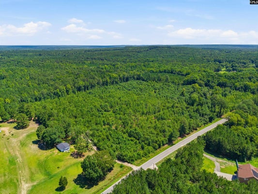 BORDEN RD, REMBERT, SC 29128 - Image c18e28cd7bcdf660887720c286e97e3b/777547368