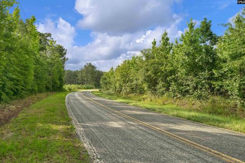 0000 N Brewington Road 10 Manning Sc 29102