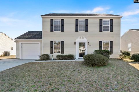 Photo of 206 Denby Circle, Columbia, SC 29229 (MLS # 624333)