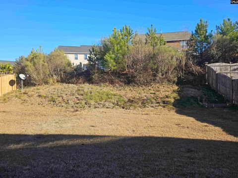 A home in Chapin