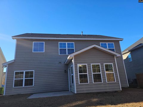 A home in Chapin