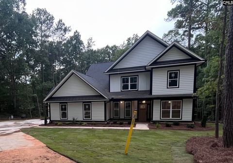 Photo of 437 Amicks Ferry Road, Chapin, SC 29036 (MLS # 630803)