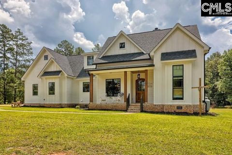 Photo of 2063 Derrick Hollow Road, Leesville, SC 29070 (MLS # 638428)