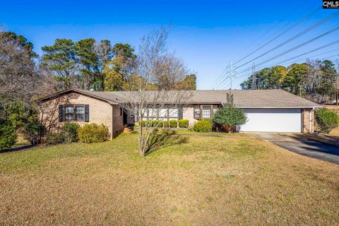 Photo of 109 McRae Street, Columbia, SC 29203 (MLS # 623344)