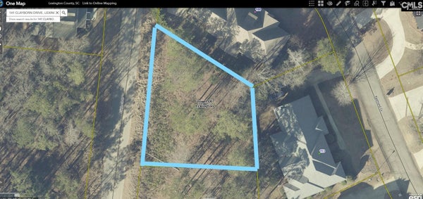 141 CLAYBORN DR, LEXINGTON, SC 29072 - Image c4889a8aee89bfd6cf4b6d8dd98e4b65/748163886