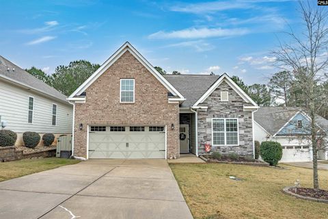 Photo of 679 Scarlet Baby Drive, Blythewood, SC 29016 (MLS # 622718)