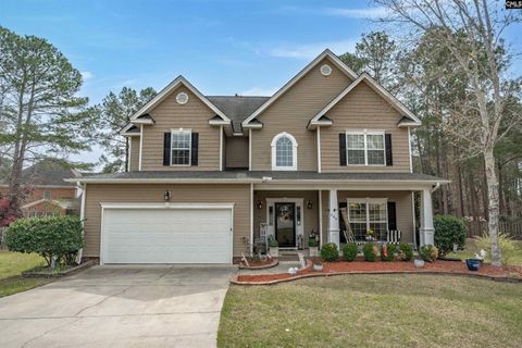 Photo of 246 Berkeley Ridge Drive, Columbia, SC 29229 (MLS # 629070)