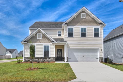 Photo of 354 Chapin Place Way, Chapin, SC 29036 (MLS # 622274)