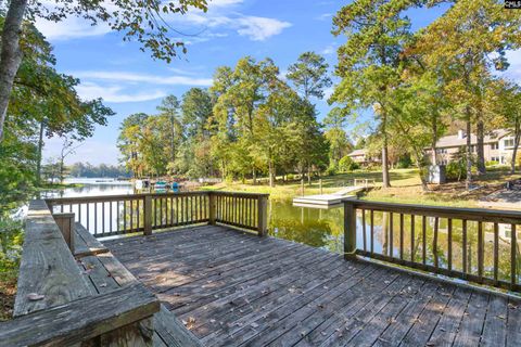 A home in Chapin