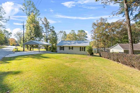 A home in Chapin