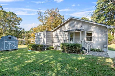 A home in Chapin