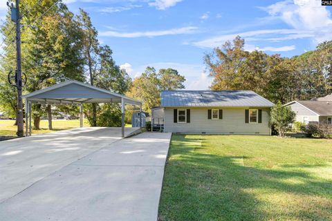 A home in Chapin