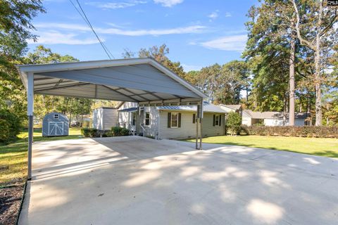 A home in Chapin