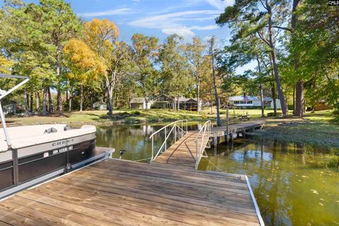 A home in Chapin