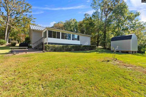 A home in Chapin