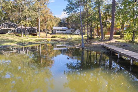 A home in Chapin